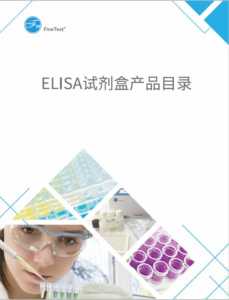 ELISA试剂盒产品画册