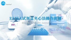 ELISA试剂盒双抗夹心法操作视频