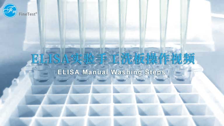 ELISA实验怎么手工洗板操作视频