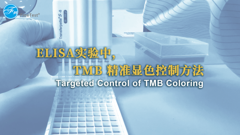 ELISA实验中TMB精准显色控制方法演示