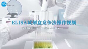 ELISA试剂盒竞争法操作视频