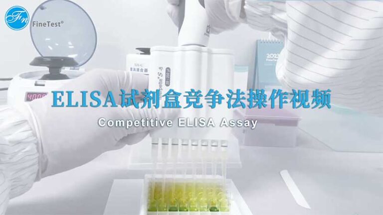 ELISA试剂盒竞争法操作视频