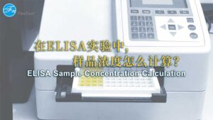 ELISA试剂盒中样品浓度计算视频