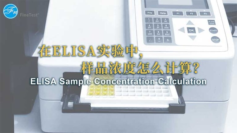 ELISA试剂盒中样品浓度计算视频