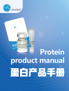 蛋白产品手册