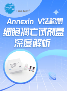 Annexin V法检测细胞凋亡解析