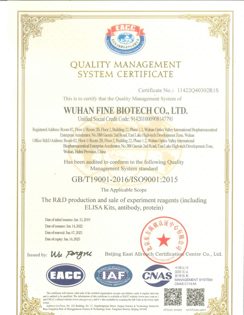 ISO90001:2015认证（国际版）