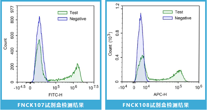 细胞增殖之单一细胞增殖精准追踪者- EDU试剂盒 - 武汉菲恩生物科技有限公司