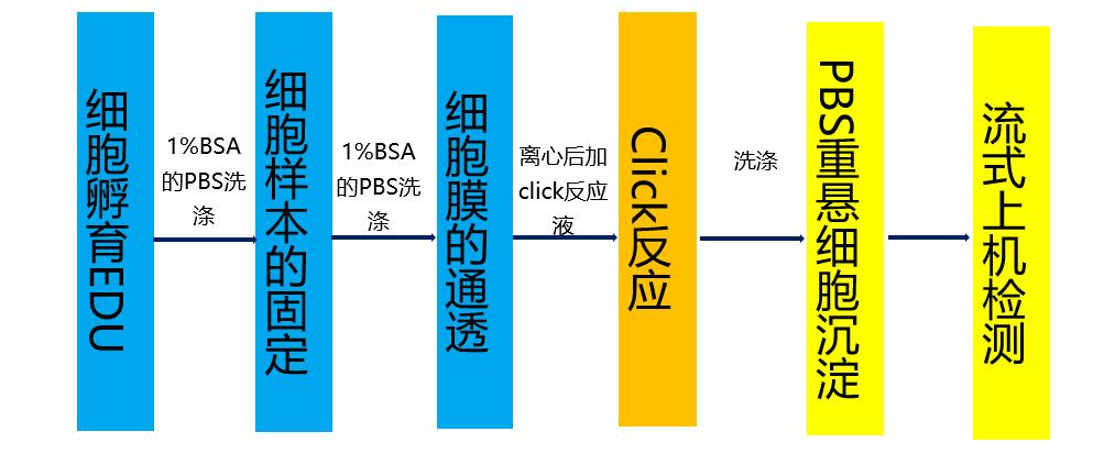 EDU流式实验流程