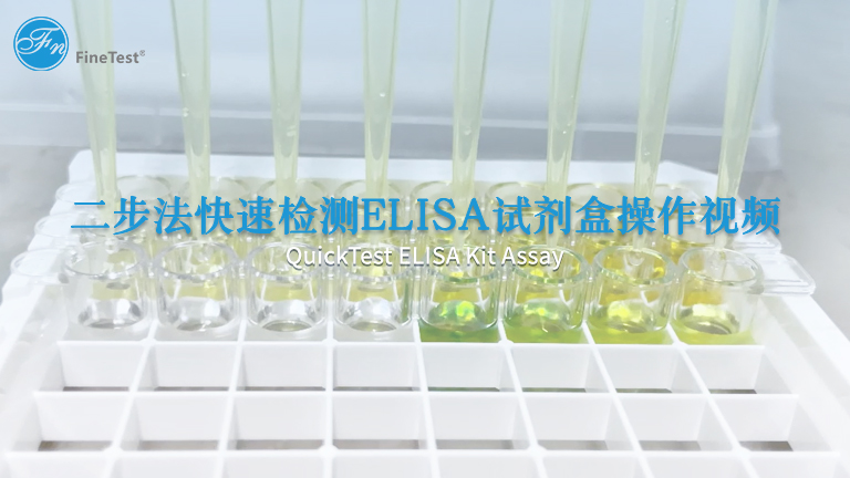二步法快速检测ELISA试剂盒操作视频