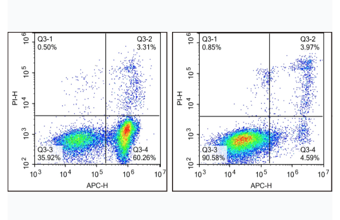 细胞凋亡检测结果