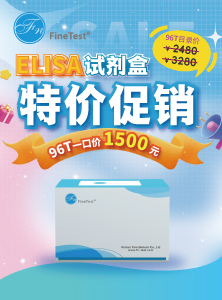 特价促销产品目录
