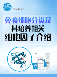 免疫细胞培养蛋白