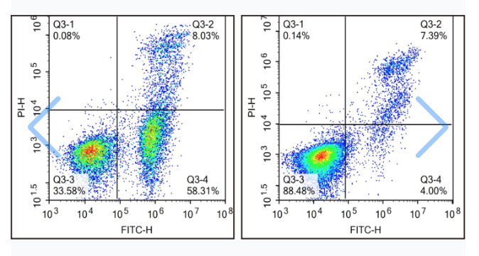 细胞凋亡检测结果