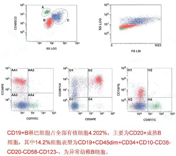 细胞表面标志物分析