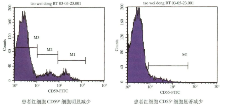 细胞内蛋白质定位和表达