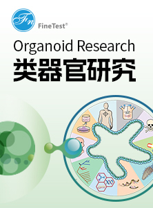 类器官研究产品手册