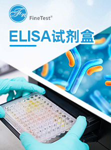 ELISA试剂盒易拉宝