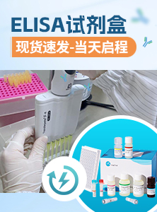 ELISA试剂盒库存现货目录