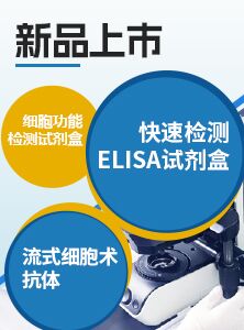 随货二折页