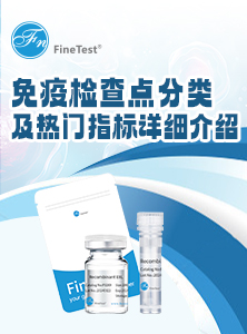 免疫检查点蛋白直播课件
