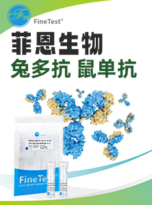 抗体易拉宝