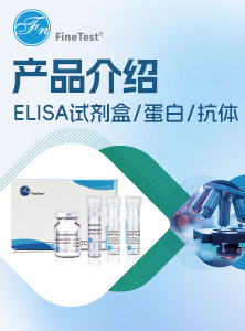 菲恩生物产品介绍易拉宝
