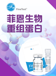 蛋白易拉宝