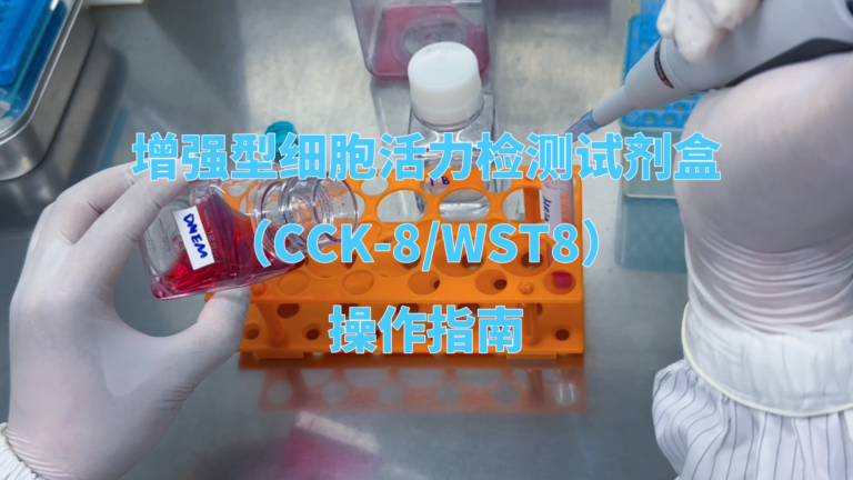 强型细胞活力/毒性检测（CCK-8）试剂盒操作视频
