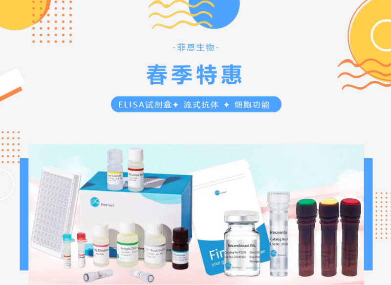 春季特惠