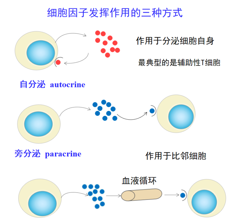 常见细胞因子检测方法及相关检测指标_技术交流_技术文章_武汉菲恩生物科技有限公司