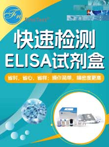 快速检测试剂盒产品单页