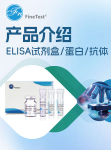 菲恩生物产品介绍易拉宝