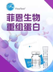 蛋白易拉宝
