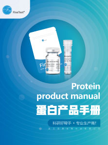 蛋白产品手册