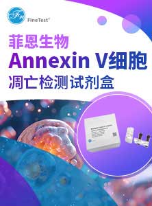 Annexin V细胞凋亡检测试剂盒产品单页