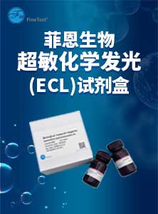 超敏化学发光(ECL)试剂盒产品单页