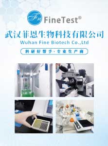 菲恩生物公司简介单页