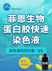 蛋白胶快速染色液产品单页