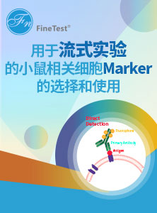 小鼠相关细胞Marker的选择和使用
