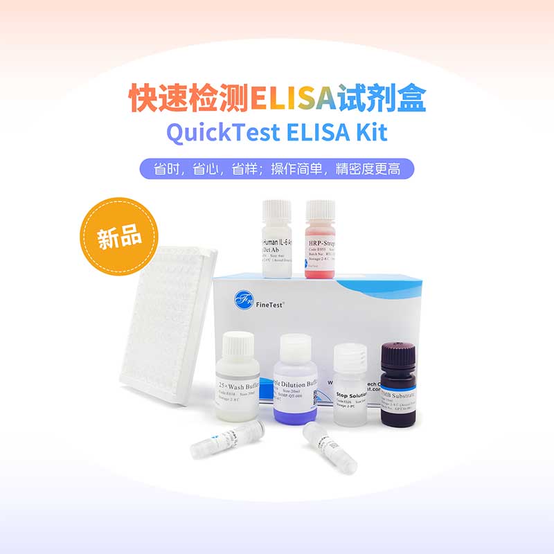 快速检测ELISA试剂盒