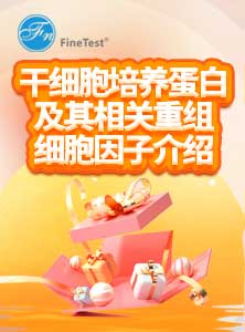 干细胞培养蛋白