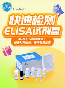快速检测ELISA试剂盒讲解