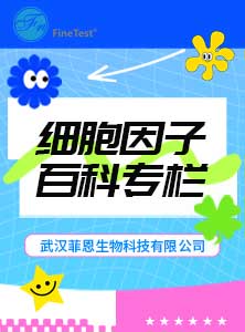 细胞因子