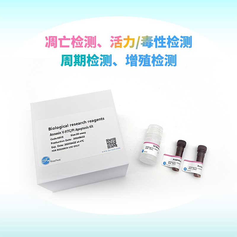 细胞功能检测试剂盒