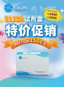 特价促销产品目录
