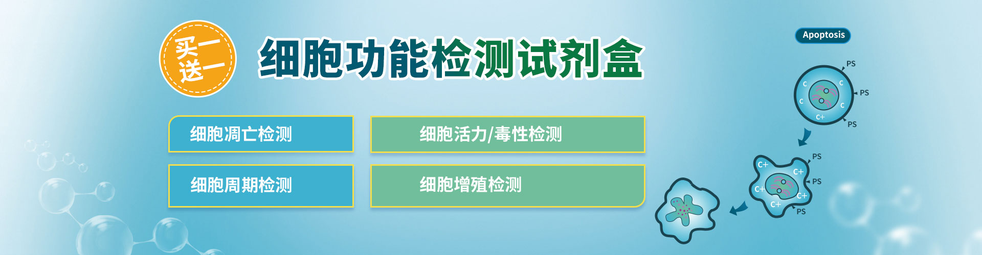 细胞功能检测