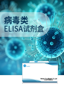病毒类ELISA试剂盒单页
