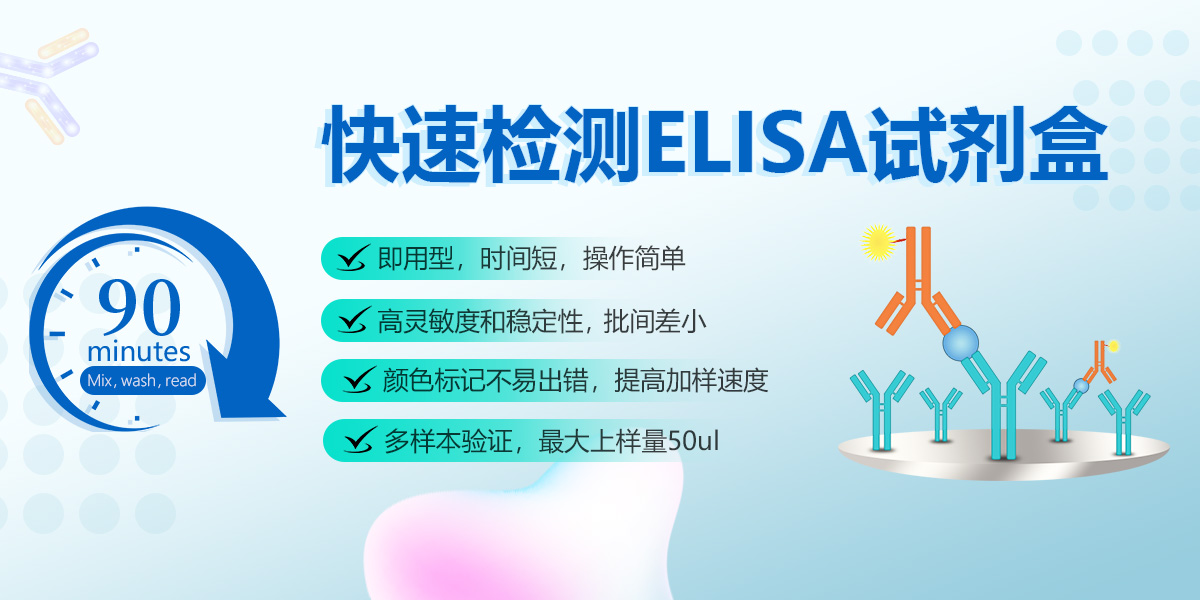 快速检测ELISA试剂盒