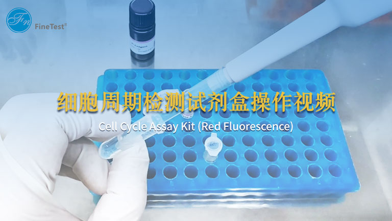 细胞周期检测试剂盒操作视频